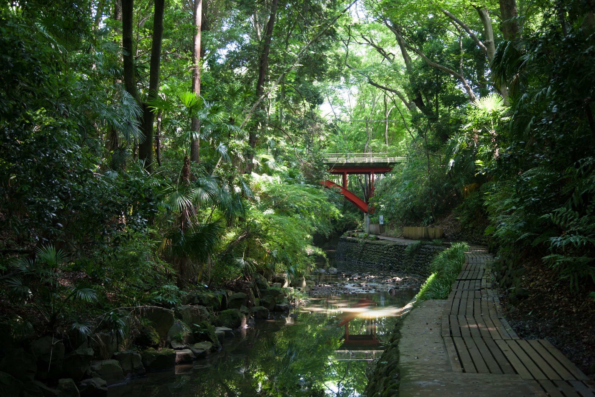 等々力渓谷・等々力渓谷公園