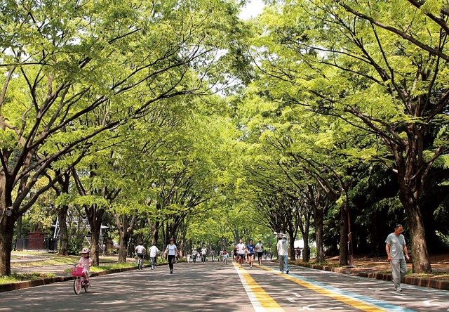緑広がる駒沢公園で深呼吸