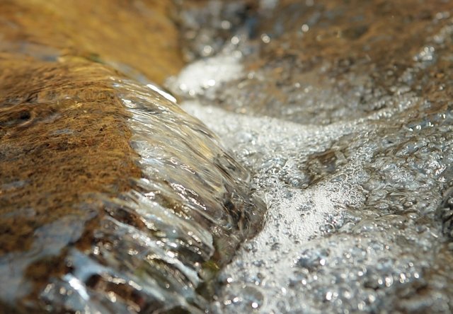 都内唯一の天然渓谷 等々力渓谷へ