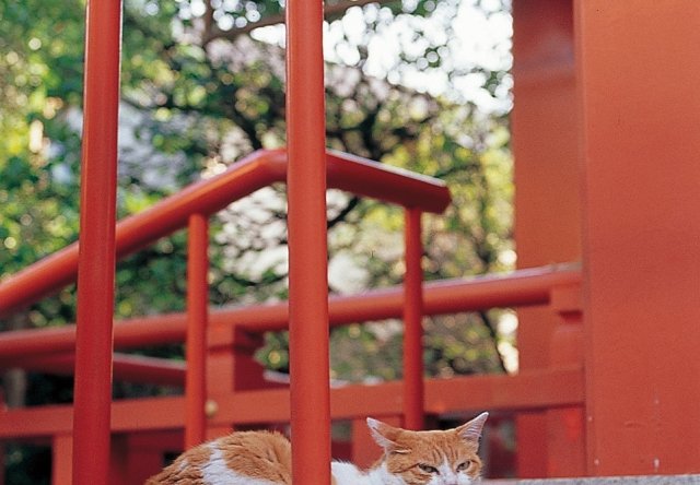 学問の神様 菅原道真を訪ねて