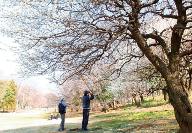 広大な砧公園で四季を感じる