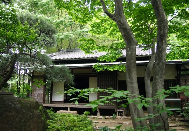 幻の巨大白菜を探しに小京都散歩