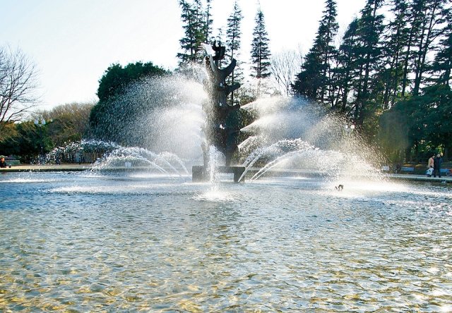 世田谷公園で家族みんなSL体験！