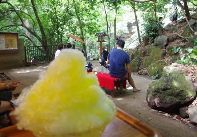 等々力渓谷・等々力渓谷公園