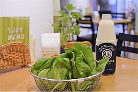 飲むヨーグルト