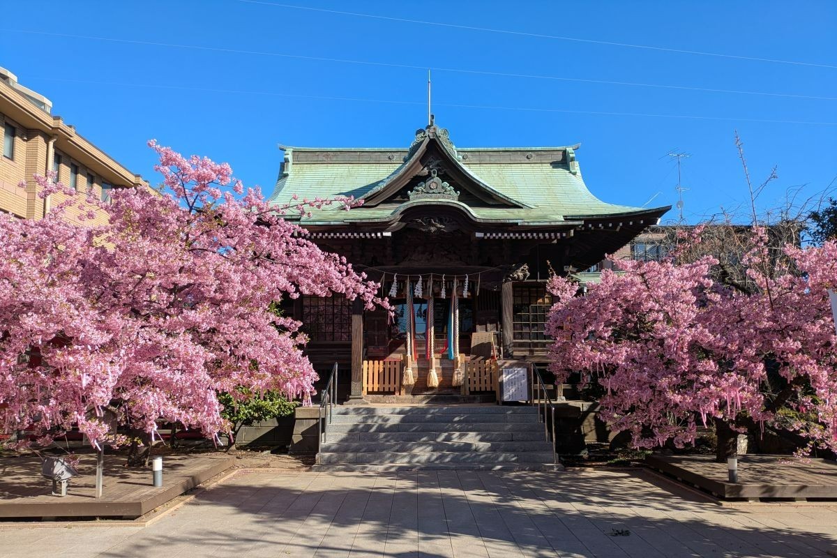 古式神道 桜神宮