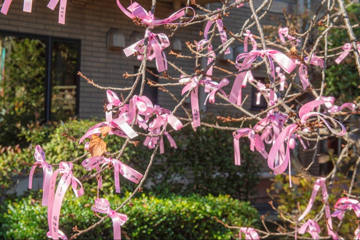 古式神道 桜神宮