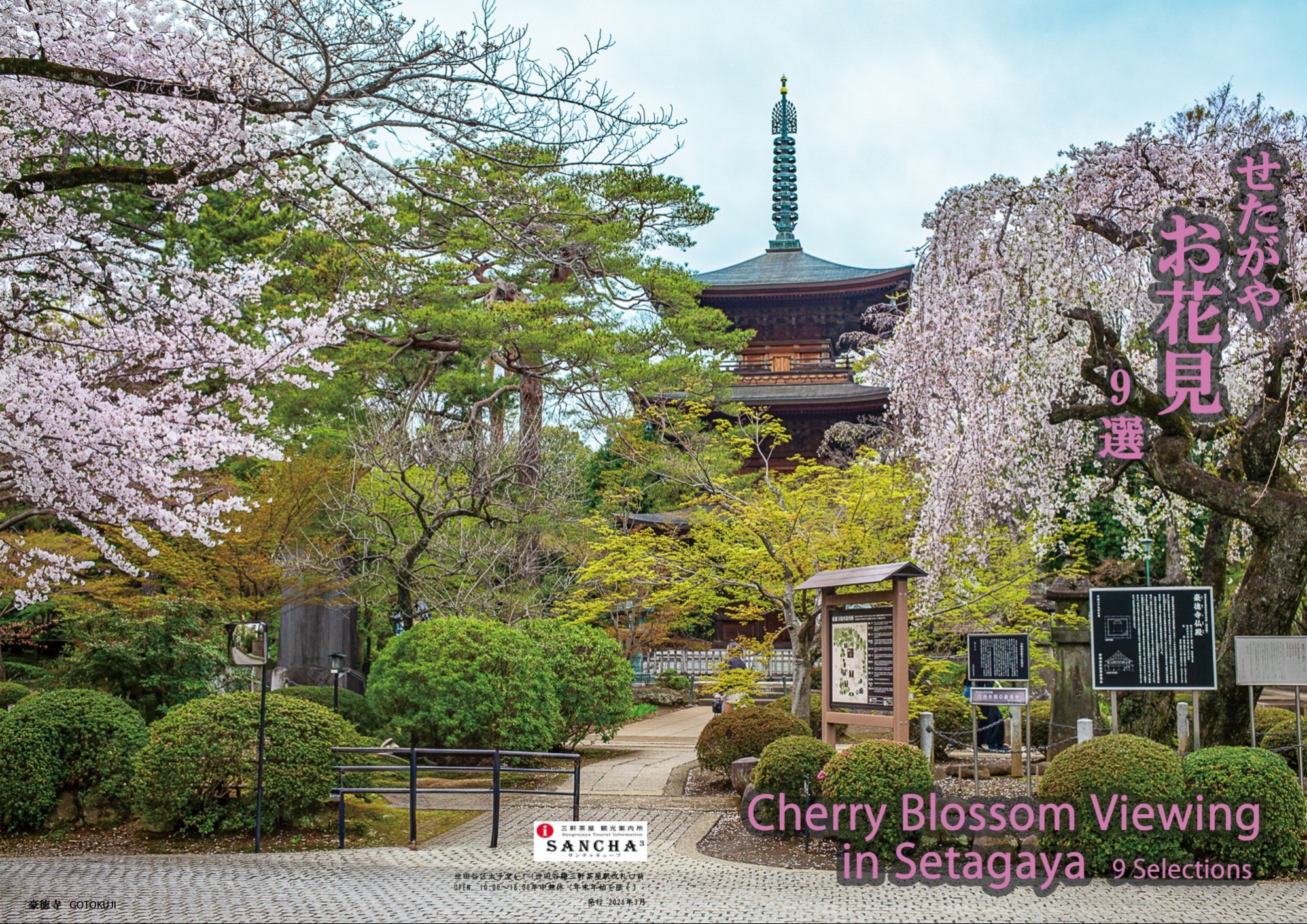 『観光案内所 パネル紹介 ～せたがやお花見9選～』