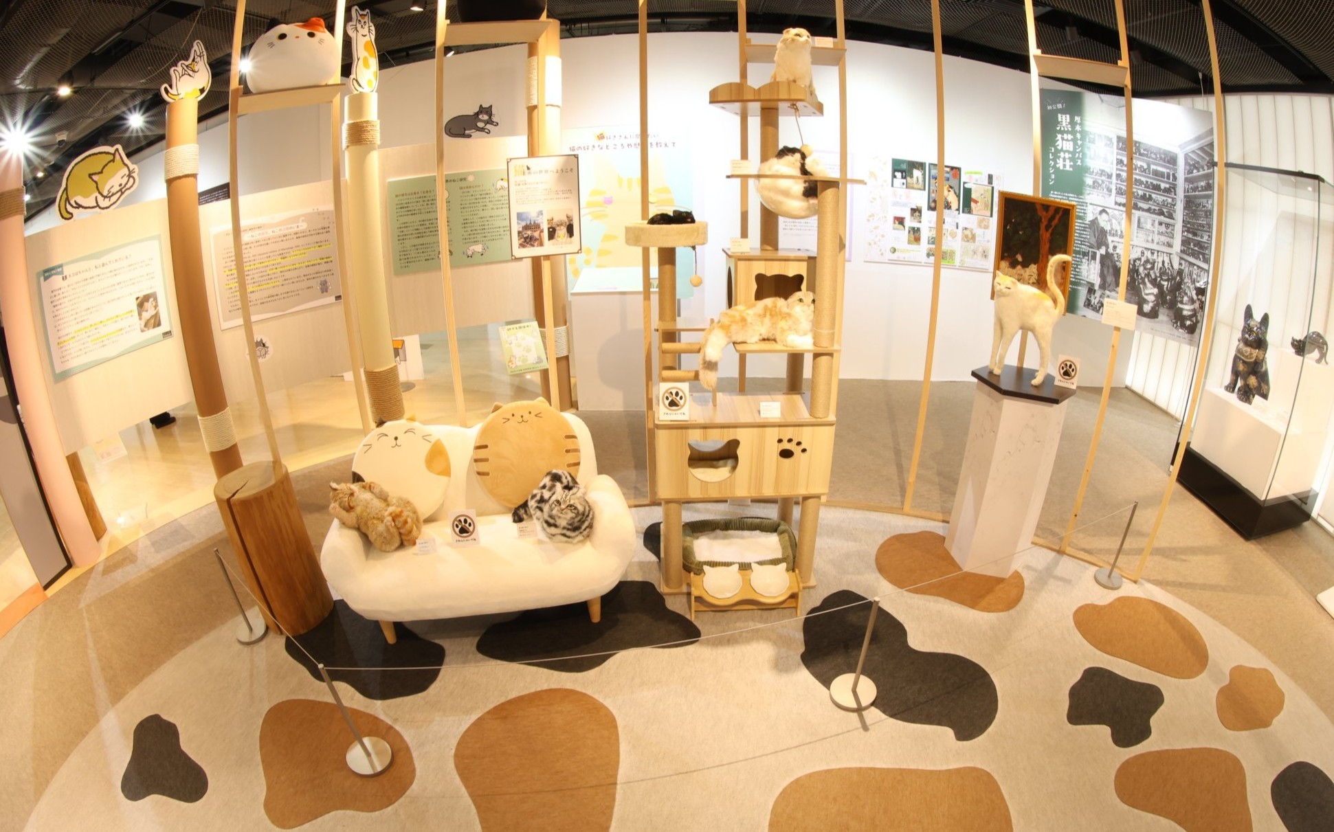 夏のおすすめイベント　企画展「猫のすゝめ」